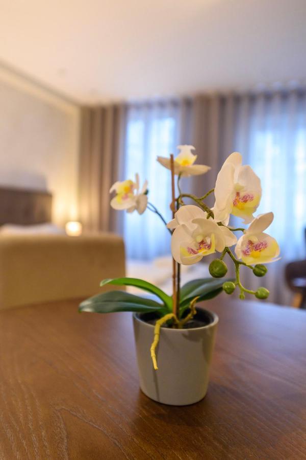 Terro Collection - Dom Pedro V Apartment Брага Екстериор снимка